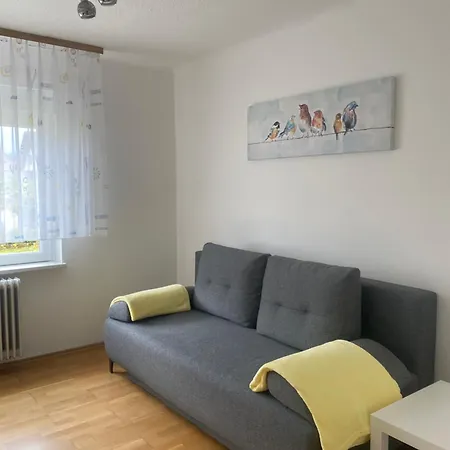 Apartma Tatjana Zirovnica