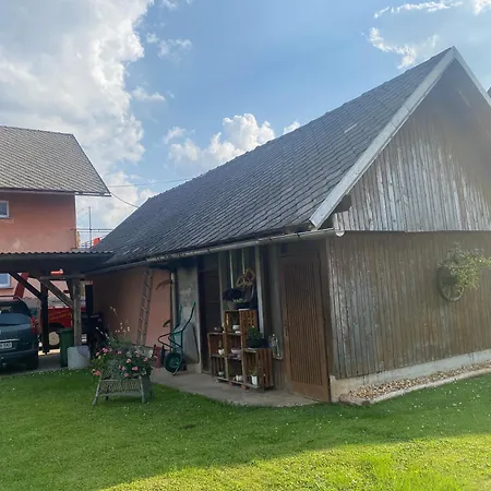 Apartma Tatjana Zirovnica