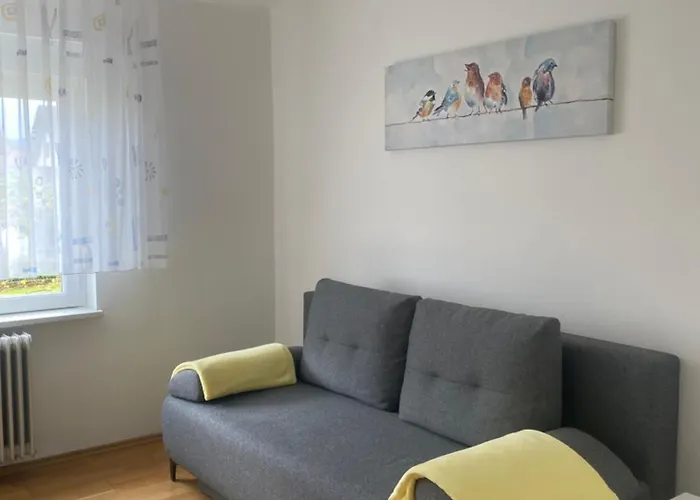 Apartma Tatjana Zirovnica