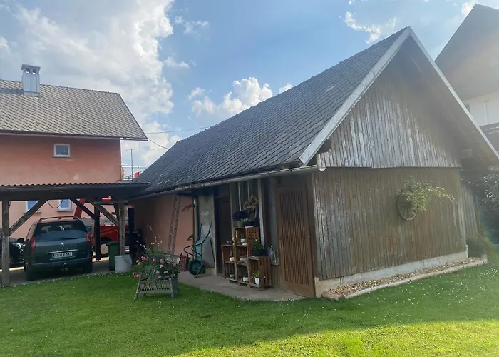 Apartma Tatjana Zirovnica