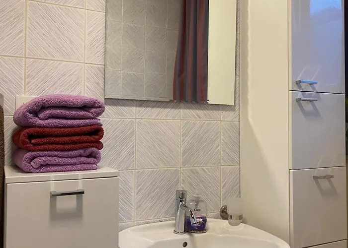 Apartma Tatjana Zirovnica