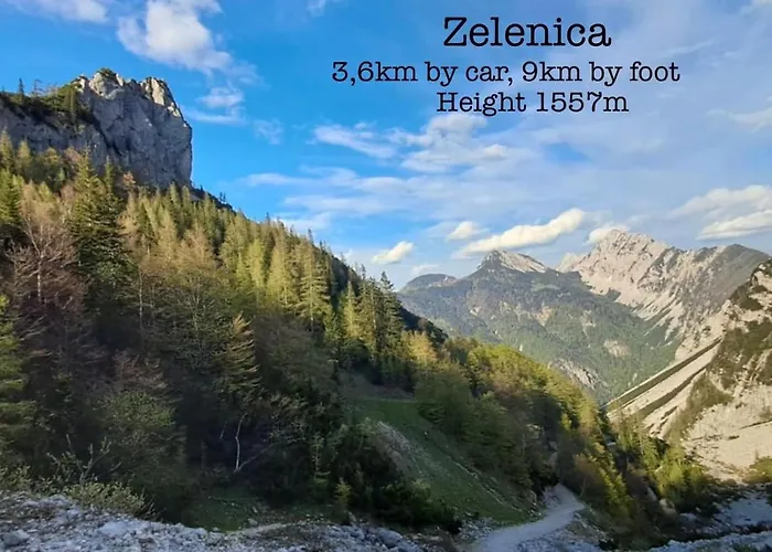 Apartma Tatjana 公寓 Zirovnica