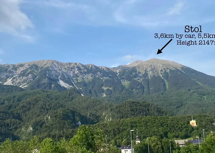 Apartma Tatjana 公寓 *